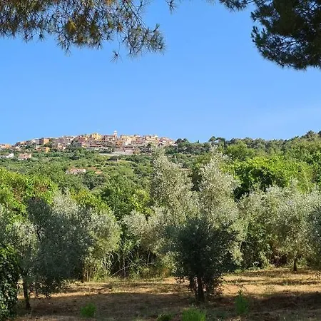 Apartment Vanna Bilo B - Bilocale Casa Ajali