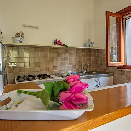 Apartment Vanna Bilo B - Bilocale