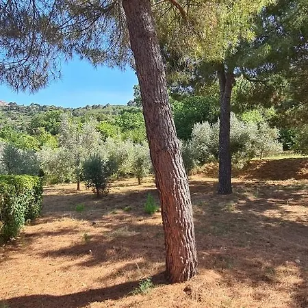 Vanna Bilo B - Bilocale Casa Ajali