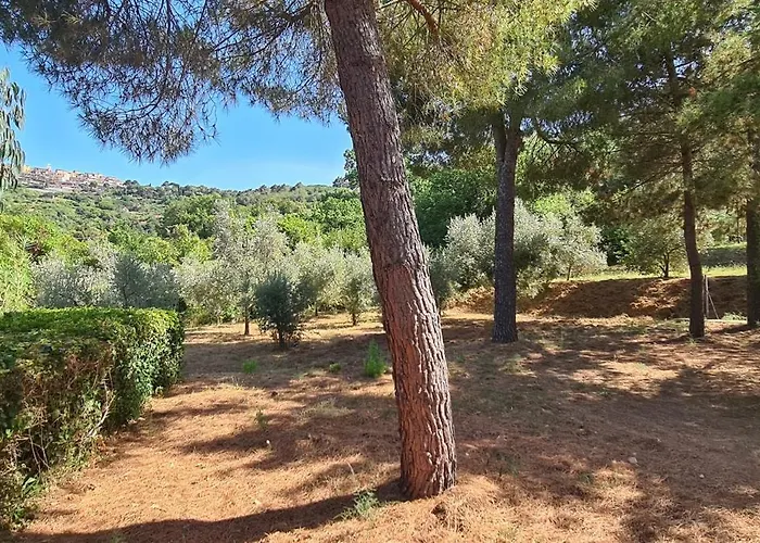 Vanna Bilo B - Bilocale